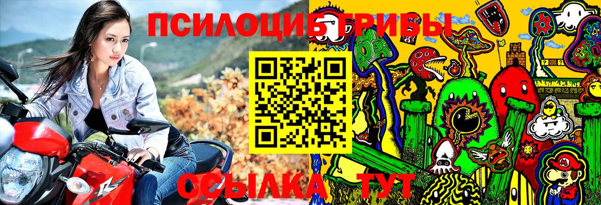 Галлюциногенные грибы Psilocybe Петрозаводск