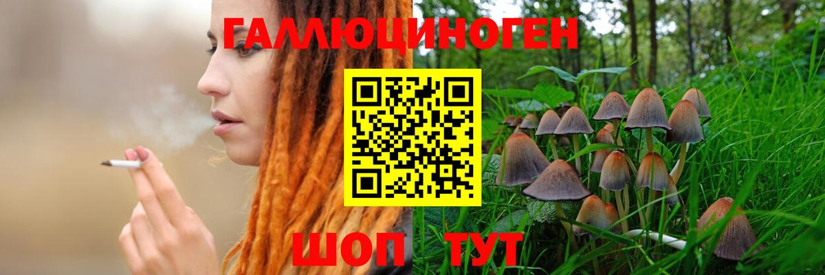 Петрозаводск  Галлюциногенные грибы мухоморы  Псилоцибиновые грибы MAGIC MUSHROOMS  Вход с VPN 